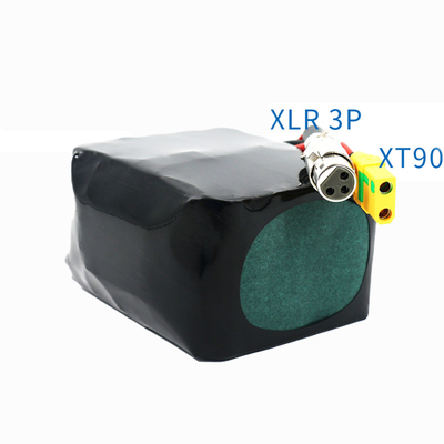 Customized Lithium Battery Pack 36V 10.5A With IPX5 Enclosure