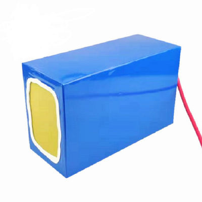 LiFePO4 Golf Cart 24V 50Ah Lithium Ion Battery Pack 2500 Cycles